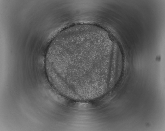 X0000112860401200909181806