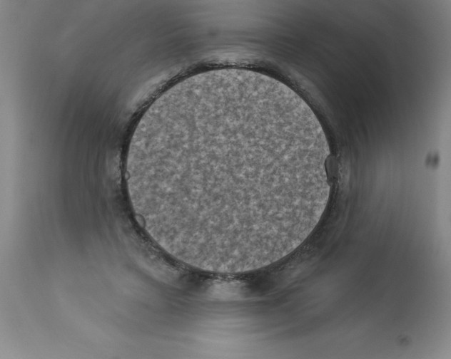 X0000112860403200909181806