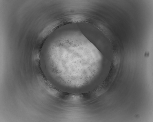 X0000112860405200909181806