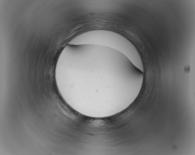 X0000112860409200909181806