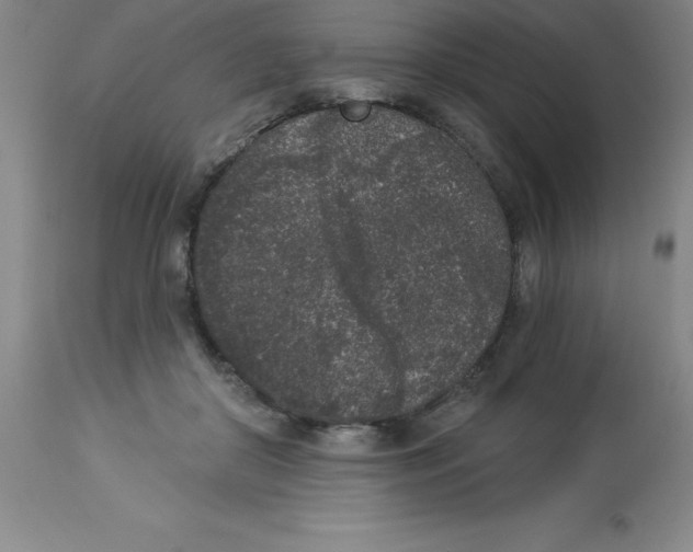 X0000112860410200909181806
