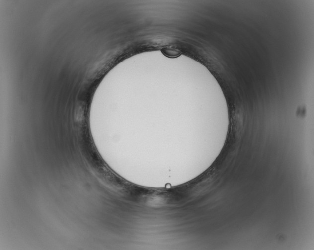 X0000112860412200909181806