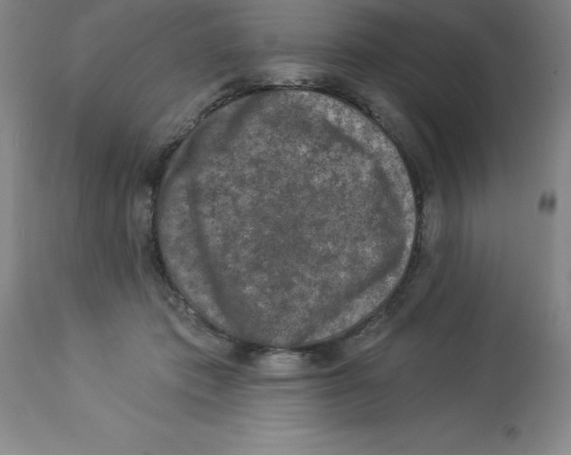 X0000112860413200909181806