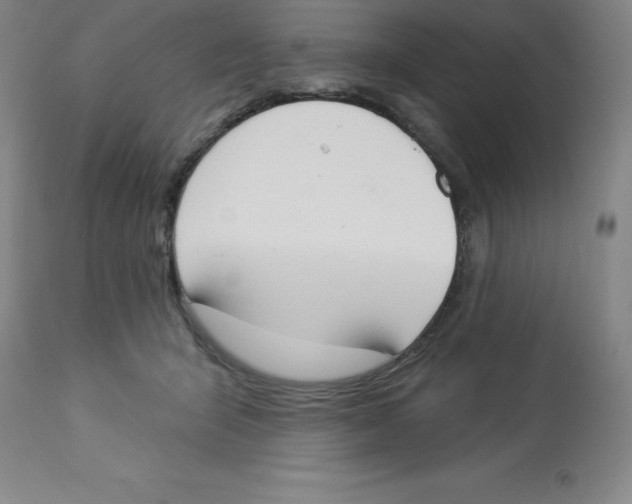 X0000112860415200909181806