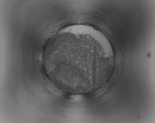 X0000112860417200909181806