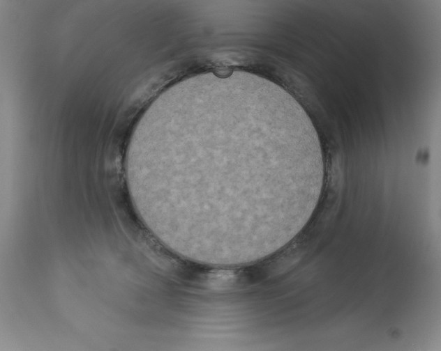 X0000112860418200909181806