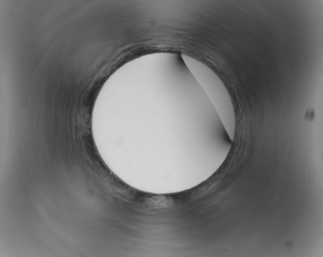 X0000112860421200909181806