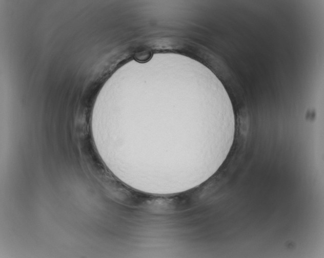 X0000112860422200909181805