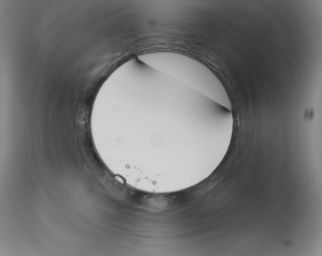 X0000112860423200909181805