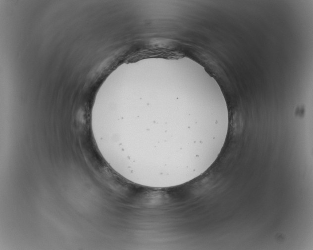 X0000112860424200909181805