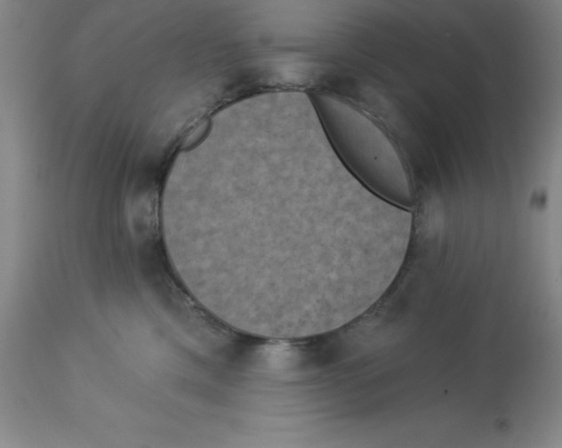 X0000112860425200909181805