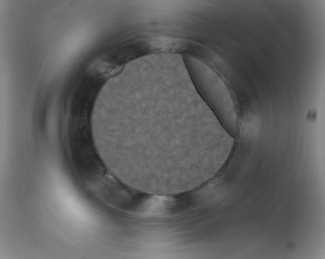 X0000112860429200909181805