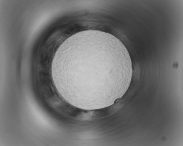 X0000112860430200909181805