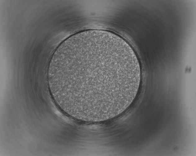 X0000112860433200909181804