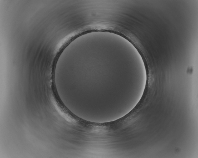 X0000112860438200909181805