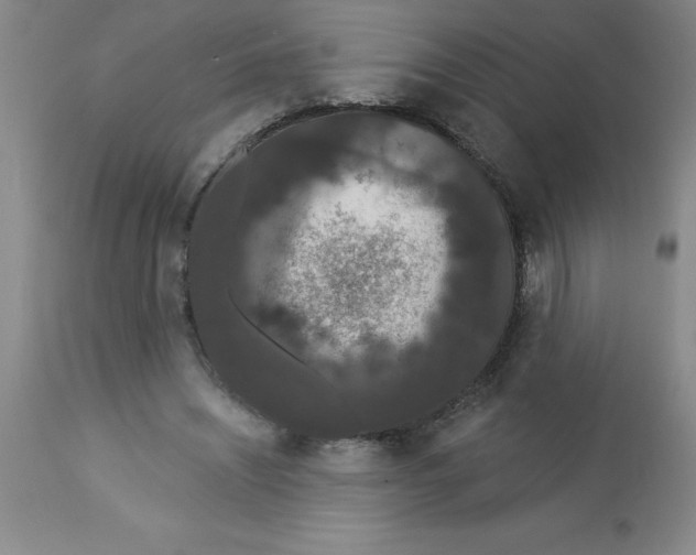 X0000112860444200909181805