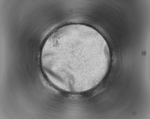 X0000112860446200909181805