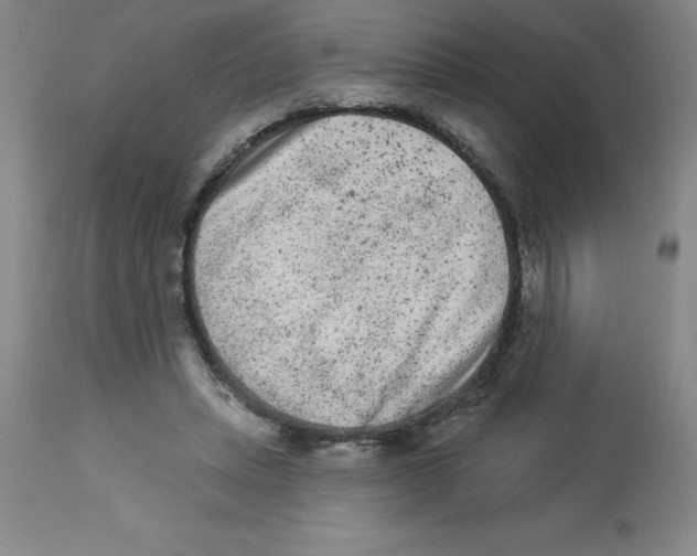 X0000112860447200909181805