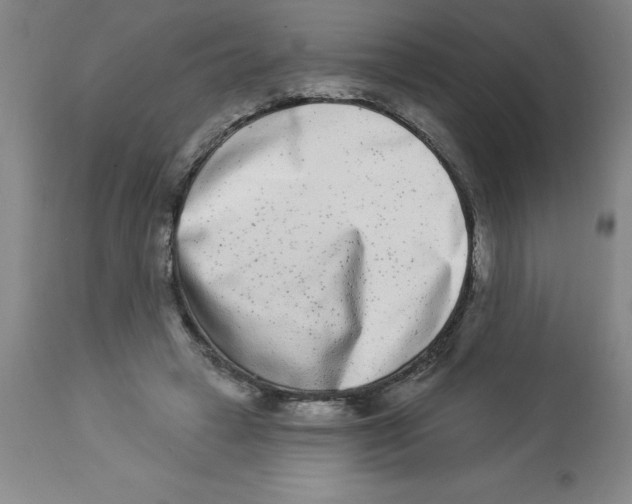 X0000112860449200909181805