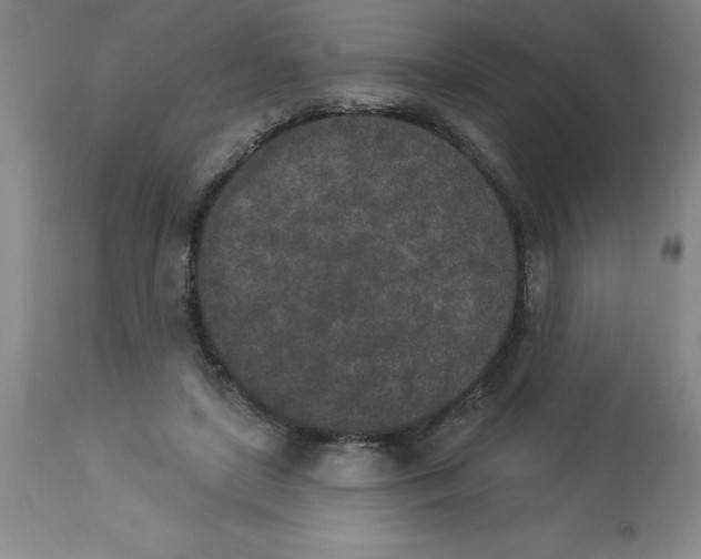 X0000112860451200909181805