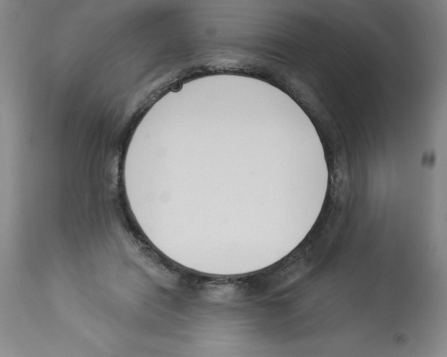 X0000112860454200909181805