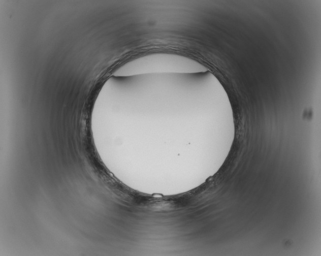 X0000112860456200909181805
