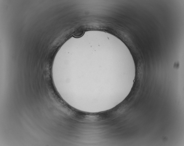 X0000112860457200909181805