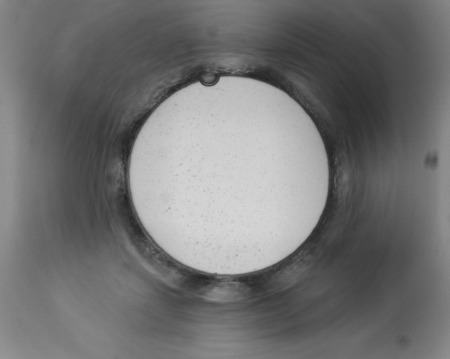 X0000112860459200909181805