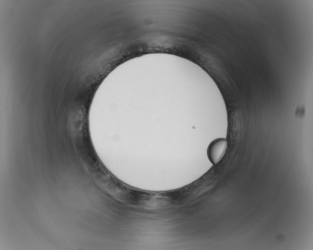 X0000112860463200909181805