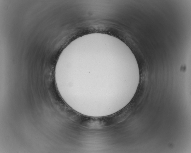 X0000112860464200909181805