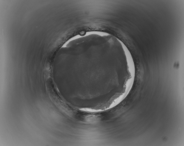 X0000112860465200909181805