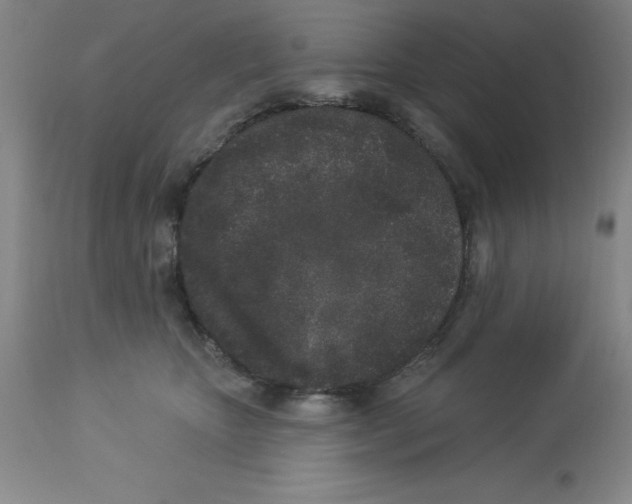 X0000112860467200909181805