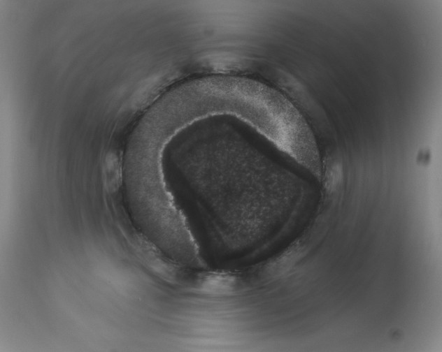 X0000112860471200909181805
