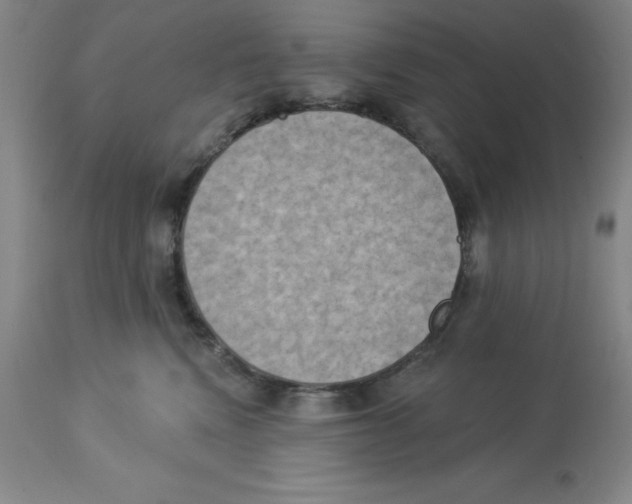 X0000112860472200909181805