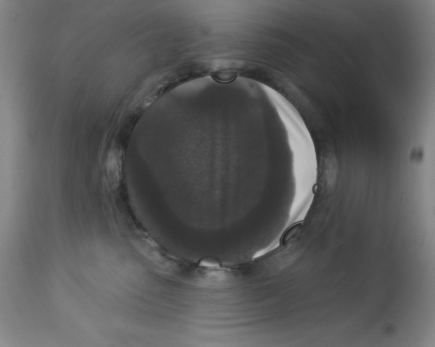 X0000112860475200909181805