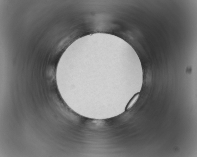 X0000112860478200909181805
