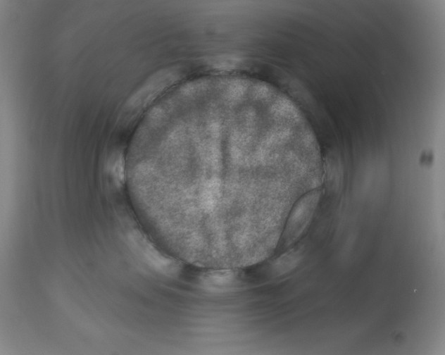 X0000112860479200909181805