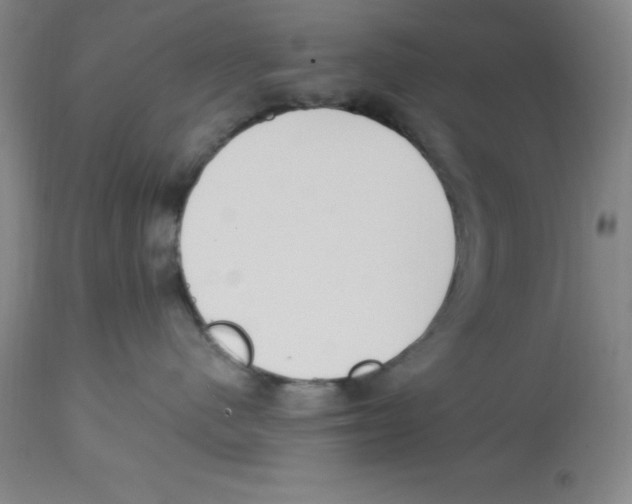 X0000112860480200909181805