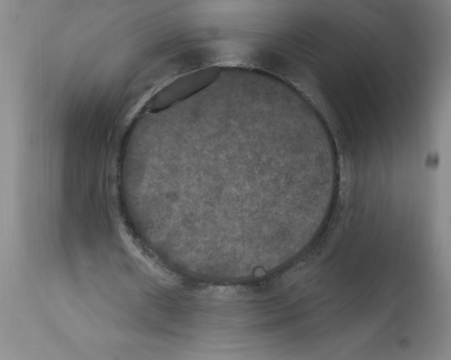X0000112860482200909181804