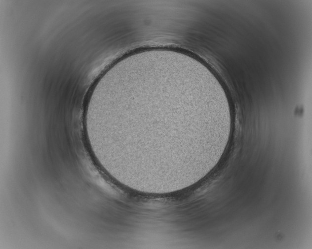 X0000112860485200909181804