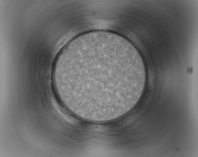 X0000112860486200909181804