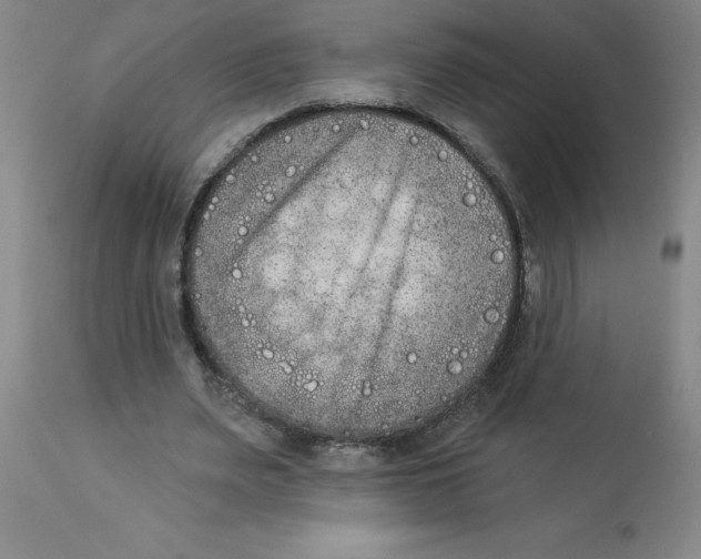 X0000112860487200909181804