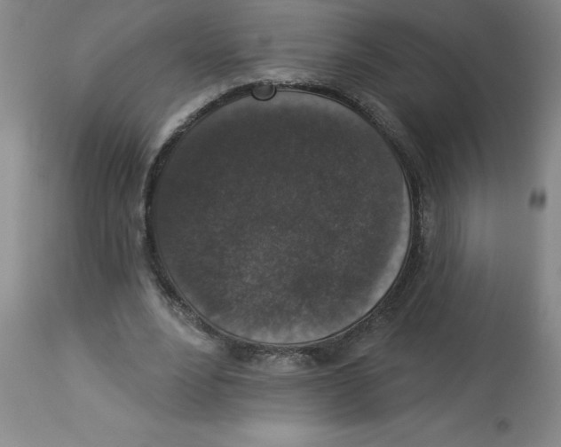 X0000112860488200909181804