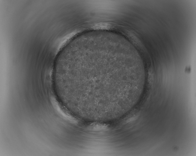 X0000112860491200909181804