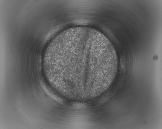 X0000112860494200909181804