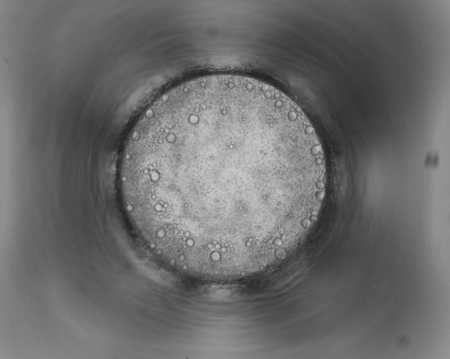 X0000112860495200909181804