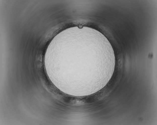 X0000112860498200909181804