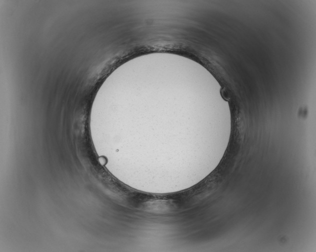 X0000112860499200909181804