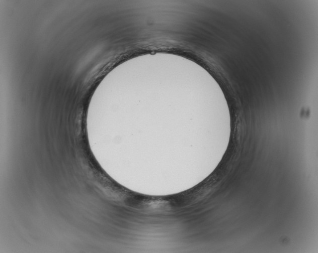 X0000112860501200909181804