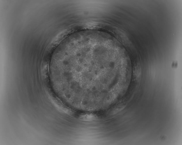 X0000112860503200909181804